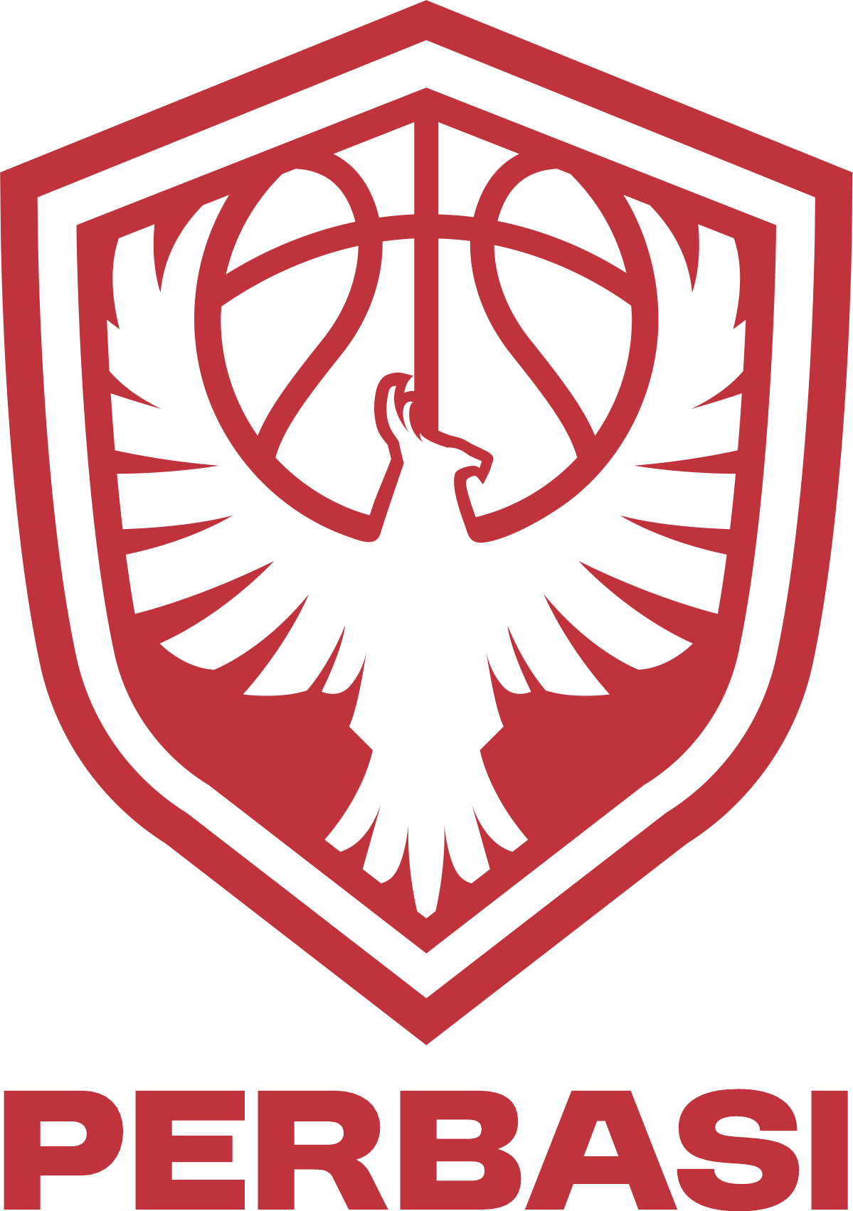 Timnas Basket